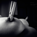 fantasticmrfox1 avatar