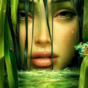 fantasyartistry avatar