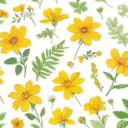 fantasyfan4ever avatar