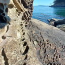 far-over-land-and-sea avatar