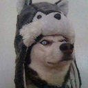 fatshamingyou avatar