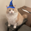 fattocatto-wizard avatar