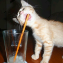 favouriteworstshifter avatar