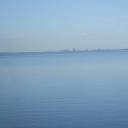 favwhumpstuff avatar