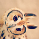 fear-and-fascination avatar