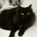 fearless-savior avatar