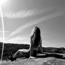 fearlessbirdiiie avatar