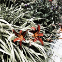 fearofheights9 avatar