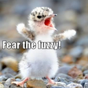 fearthefuzzy avatar