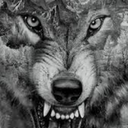 feastofwolves avatar