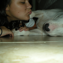 featherinahurricane avatar