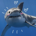 feedeesharky avatar