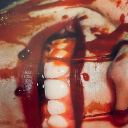 feedingicetothedog avatar