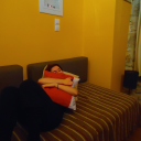 feggarolousth avatar