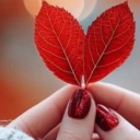 felicementecomplicata avatar