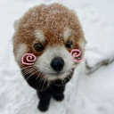 femalesdoitbetter avatar