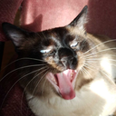 fendoffthedemons avatar