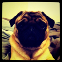 fernet-about-it avatar