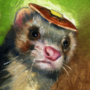 ferret-on-pancakes avatar