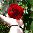 ferrets-in-a-suit avatar