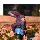 ffxiv-dangerbun avatar