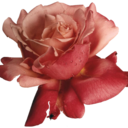 fghjklaesthetic-blog1 avatar