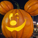 fiction-is-truth avatar