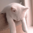 fictional-semantics avatar