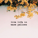 fiercexflawless avatar