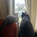 fightmeyoupunk avatar