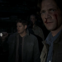 fightthefaeries avatar