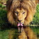 fijiansamurai1985 avatar