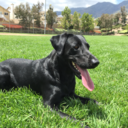 filingsofagentleman avatar