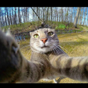 fillervefillerr avatar