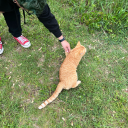 fillory-and-furtherr avatar