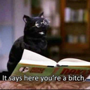 filmgritandtears avatar