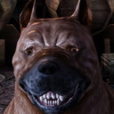 filthydoglord avatar