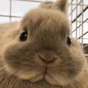 findingeternityineverymoment avatar