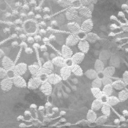 fine-et-mutine avatar