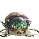 fionawould-blog avatar