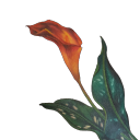 firedancerlily avatar