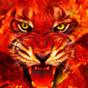 fireice217 avatar