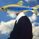 fishesnotfish avatar