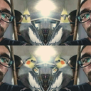 fitokierkegaard avatar