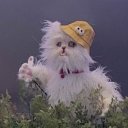 fitzandbeloved avatar