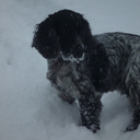 fitzofinspiration avatar