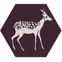 fivedeer-blog avatar