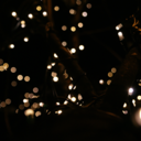 fixtheworldup avatar