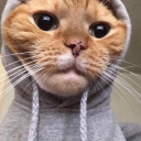 fizzy-cola-442 avatar