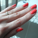 flakesandrice avatar